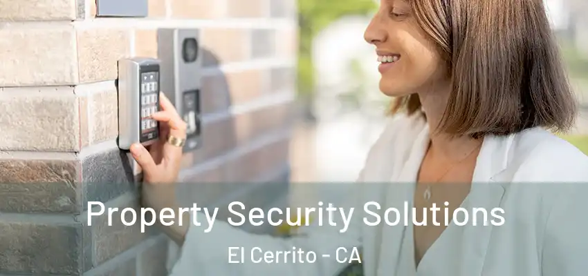  Property Security Solutions El Cerrito - CA